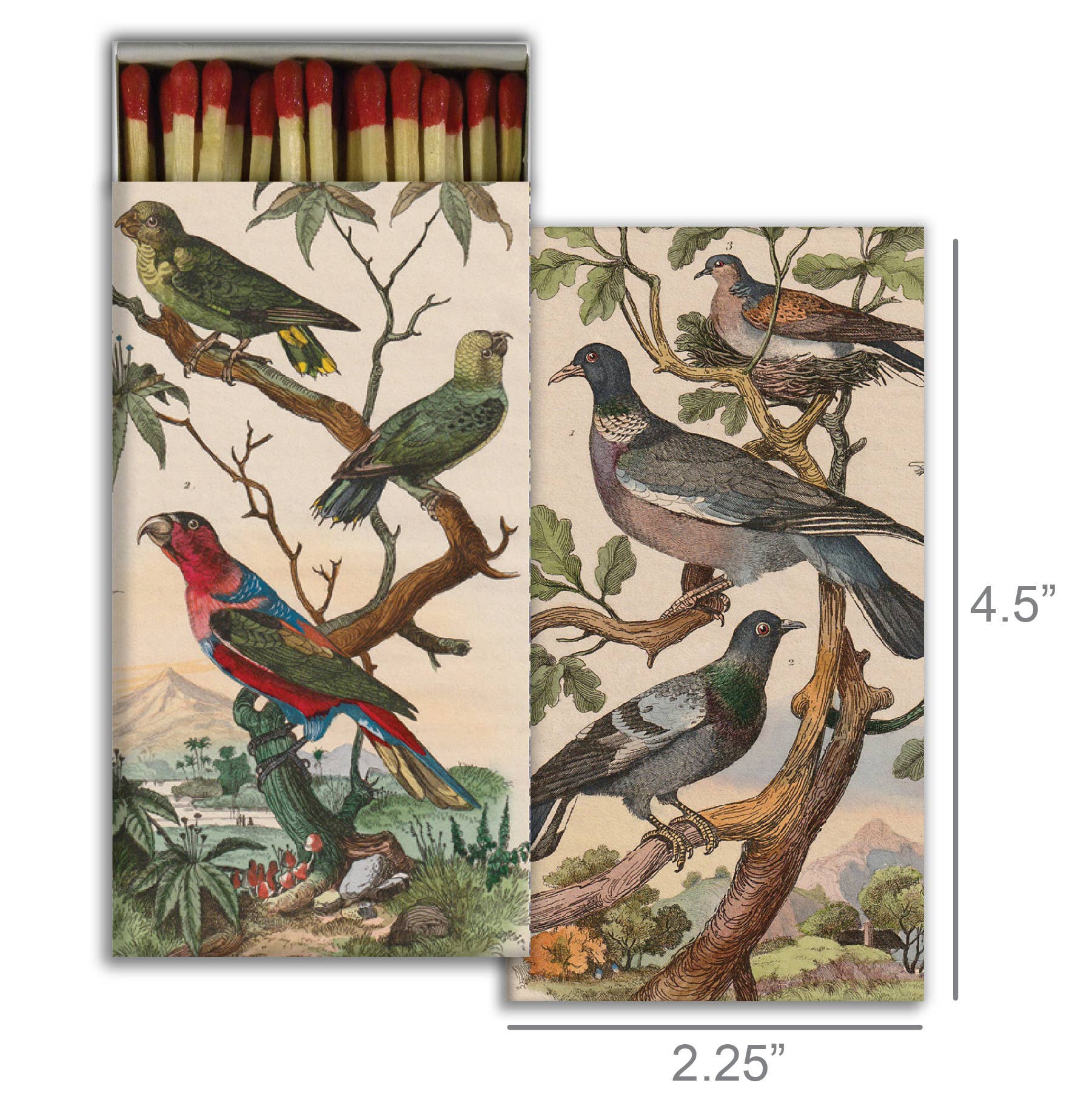 Match - Pigeons & Parakeets