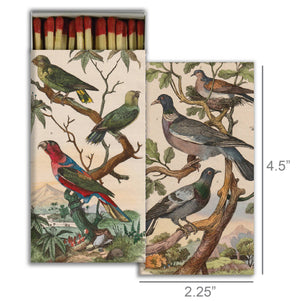 Match - Pigeons & Parakeets
