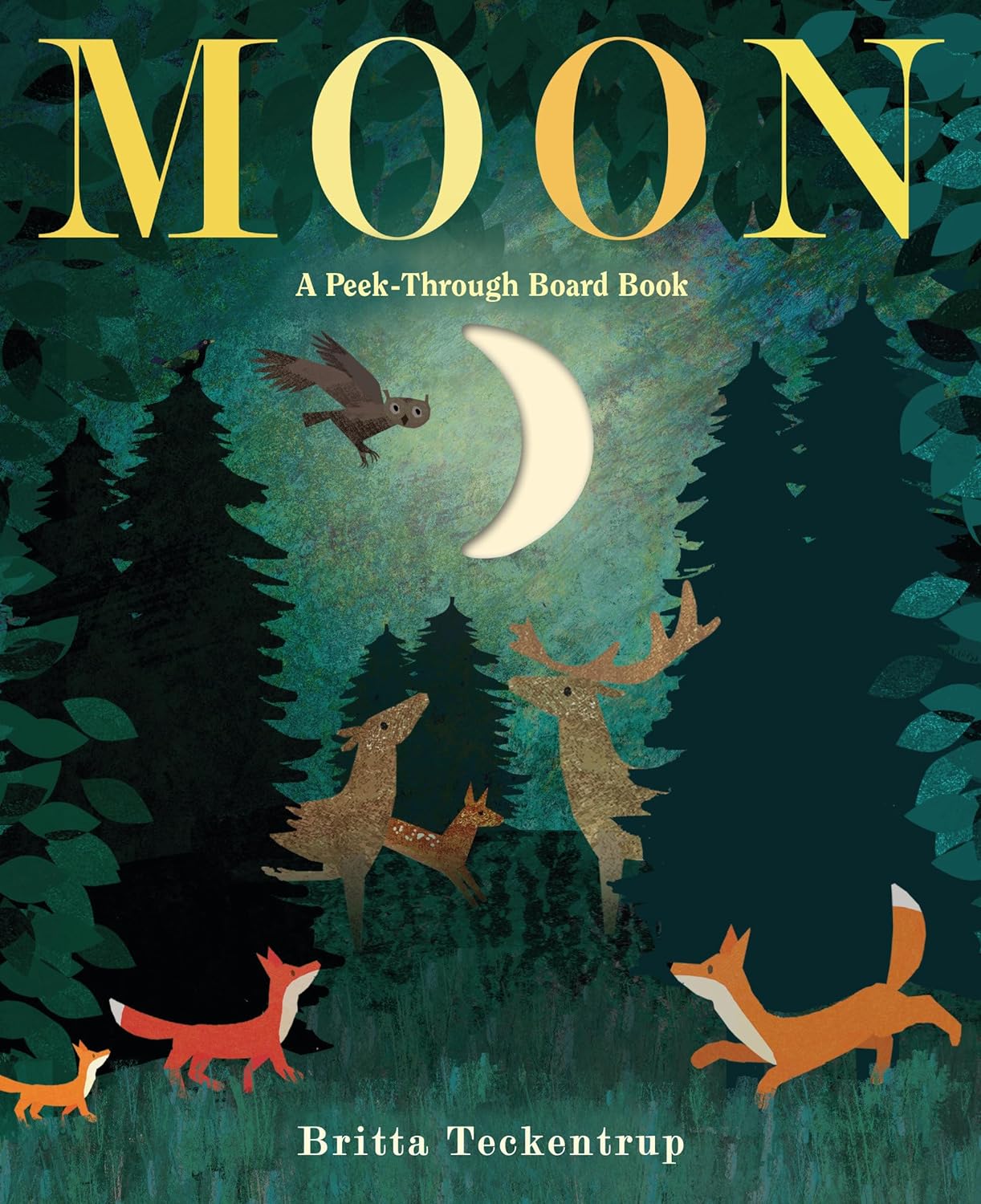 Book - Moon: A Peep Through Picture Book, by Britta Teckentrup