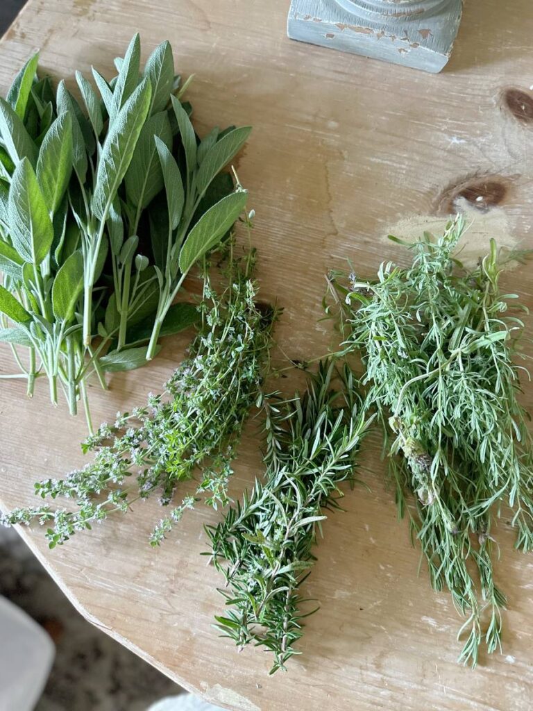 Reservoir Journey Candle 8oz - Jardin Therapy