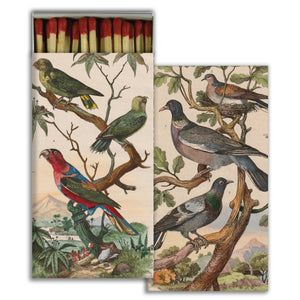 Match - Pigeons & Parakeets