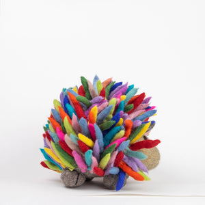 Large Rainbow Hedgehog
