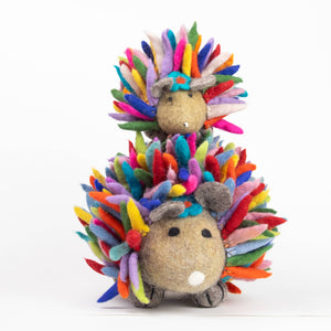 Large Rainbow Hedgehog