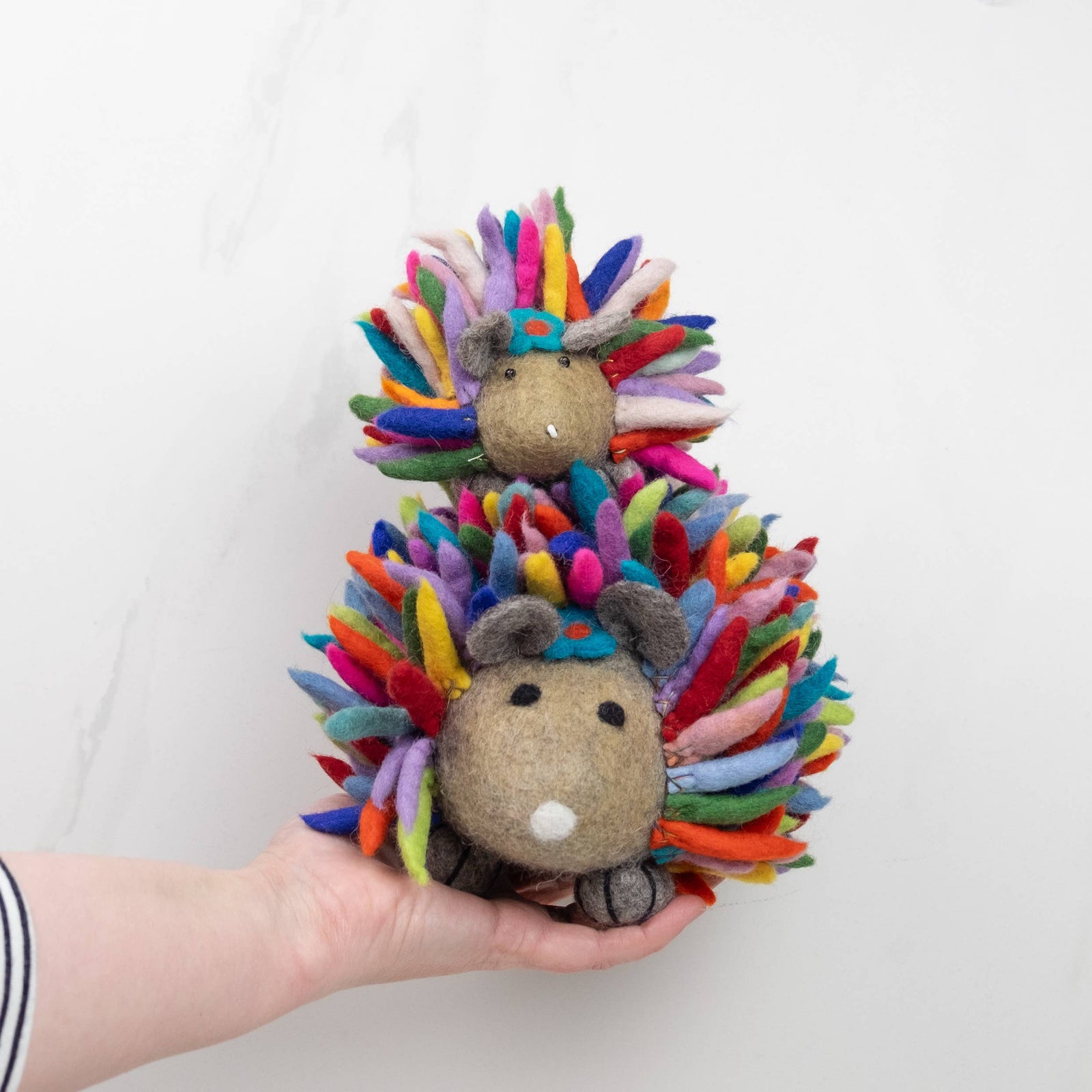 Large Rainbow Hedgehog