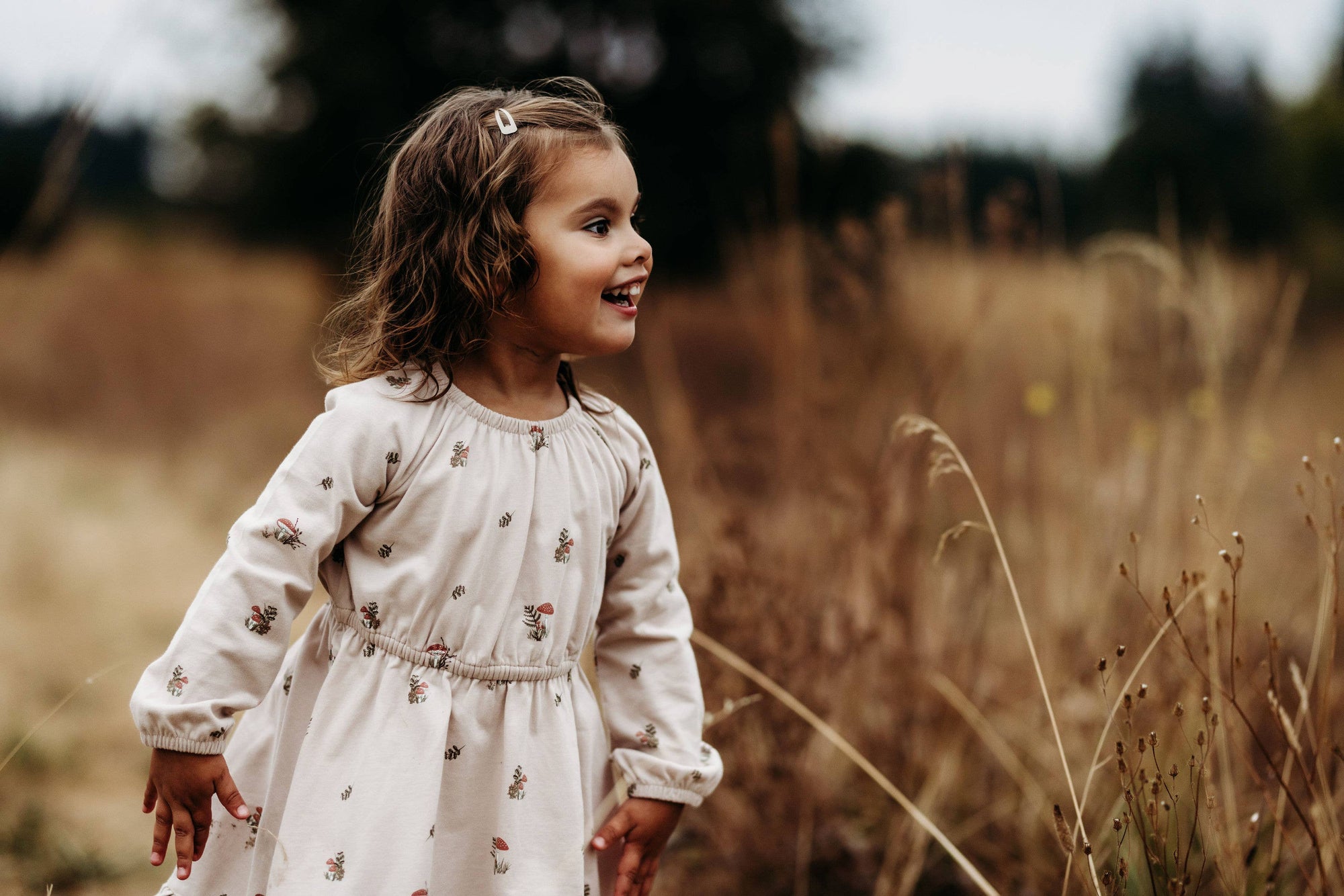 Raglan Ruff Dress- Blush Mushrooms
