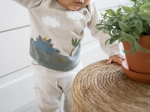 Dinosaur Embroidery Sweater