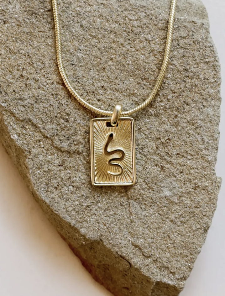 Snake Dog Tag Necklace