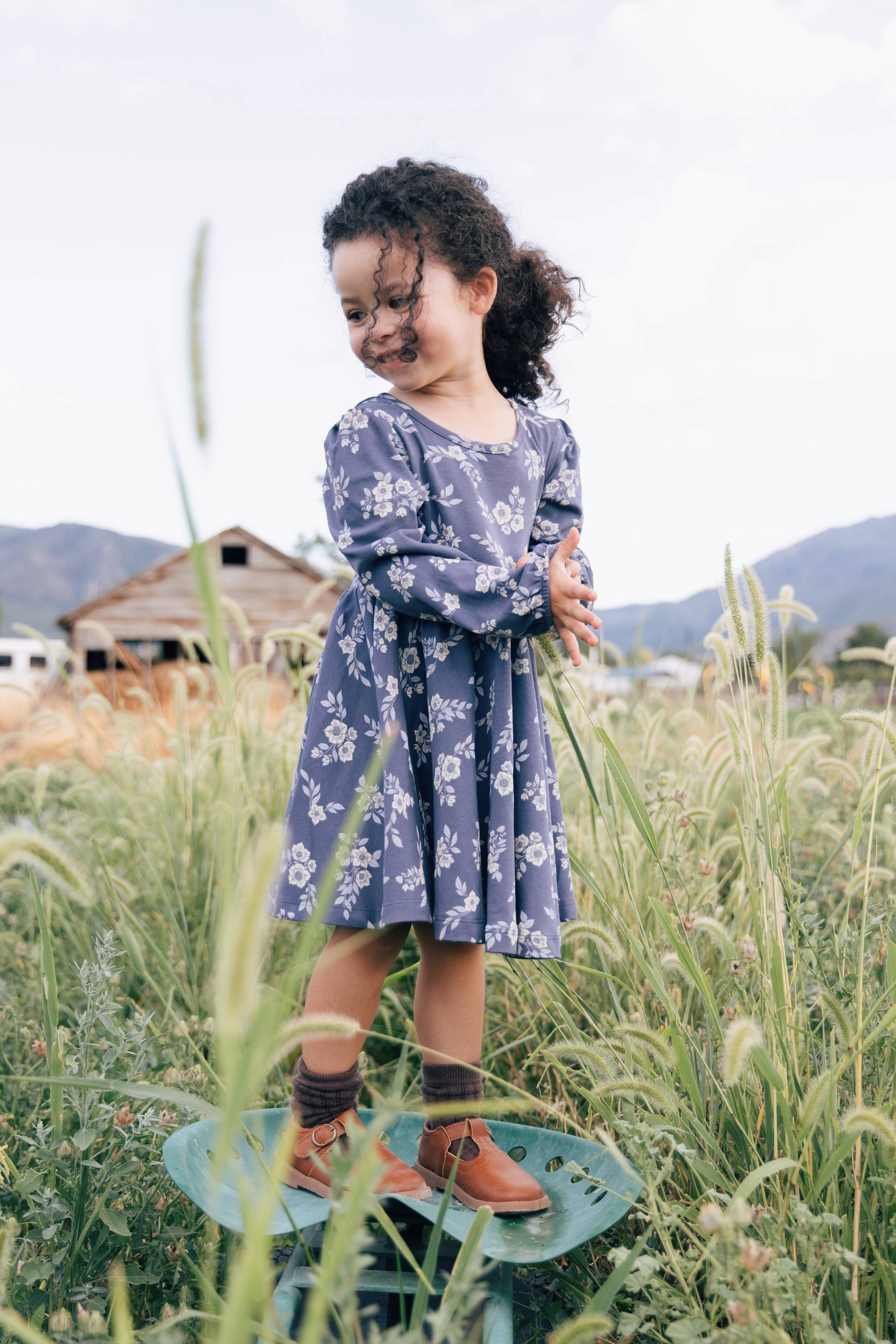Twirl Dress - Hellebore