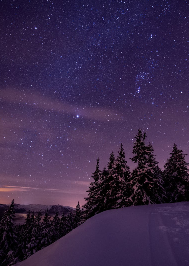 Reservoir Home Candle - Winter Nights