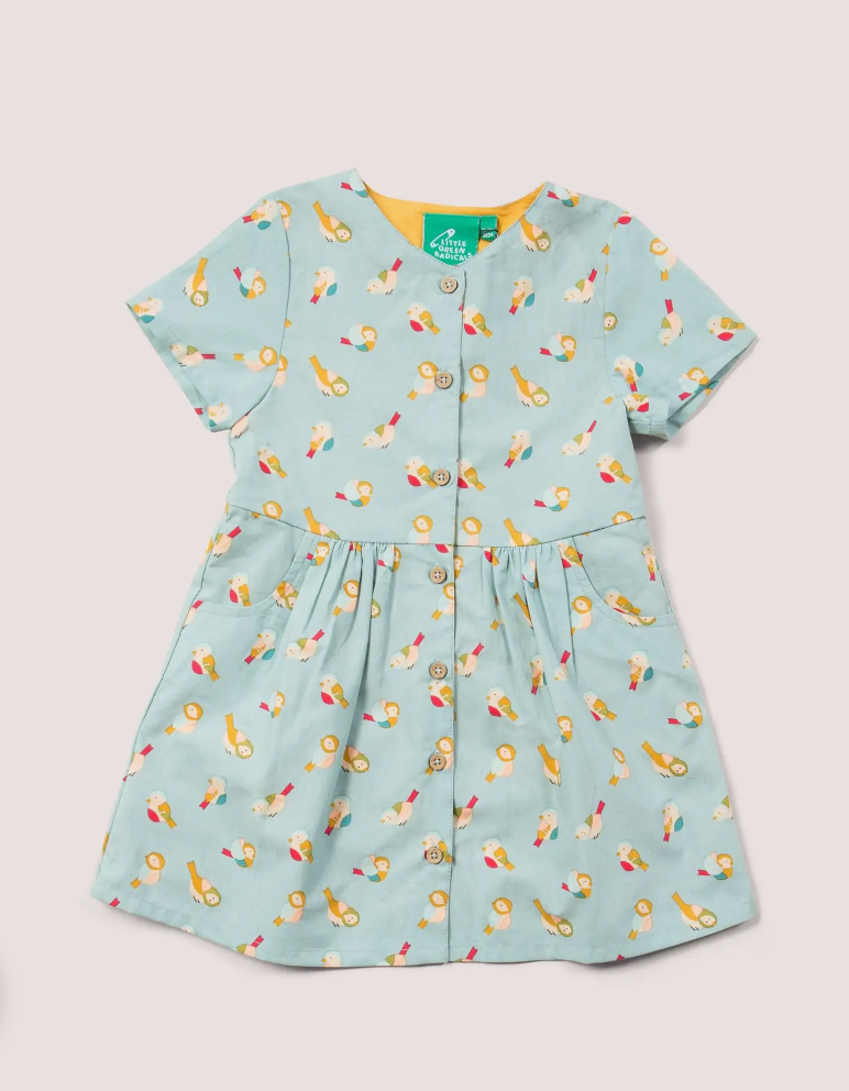 Rainbow Birds Dress