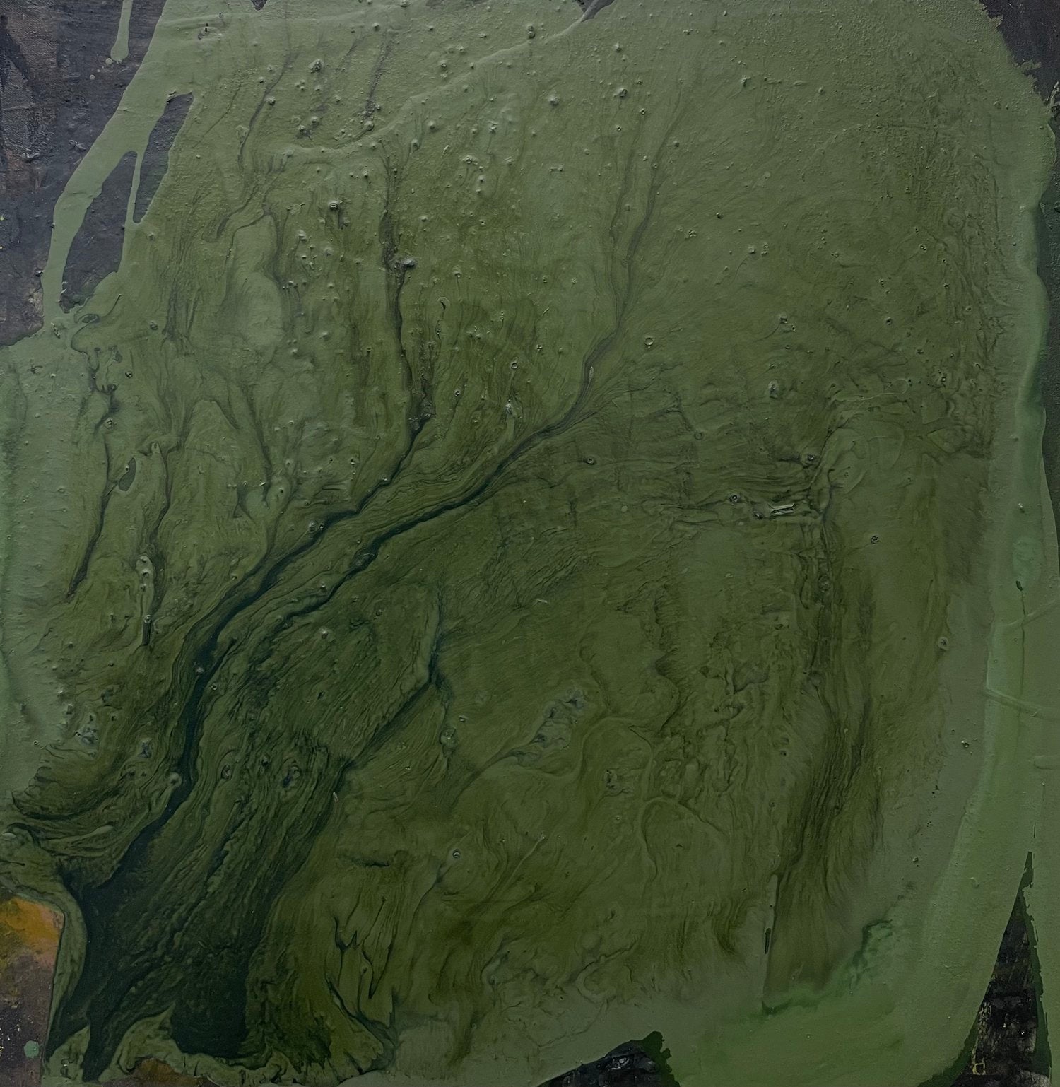 Empty by Elizabeth Castagna