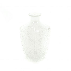 HV Glass Water Bottle - Clear
